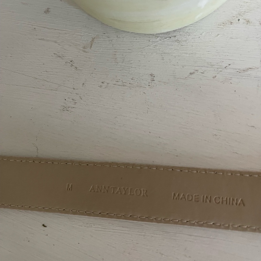 Ann Taylor Cream Embossed Leather Python Print Be… - image 4
